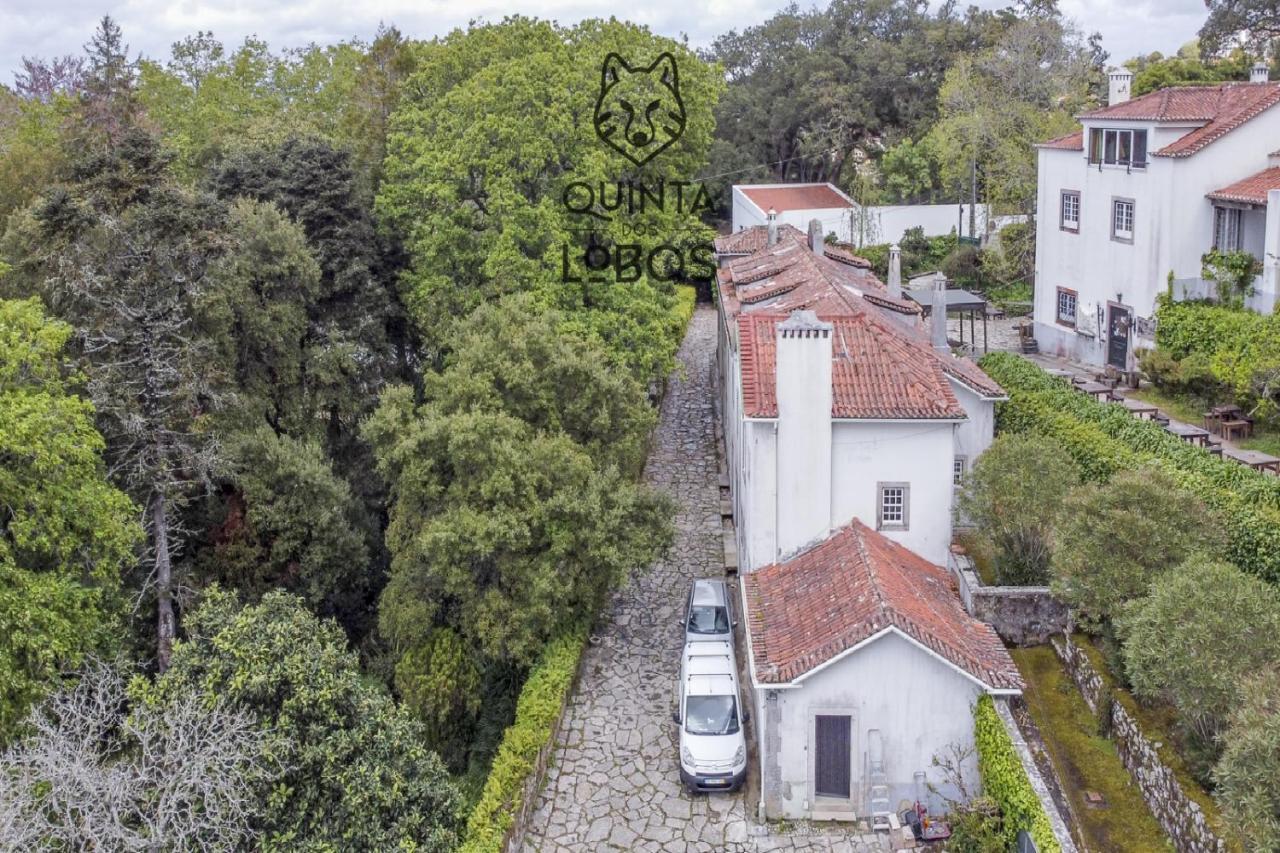 Quinta Dos Lobos Boutique Hotel - Nature Experience 신트라 외부 사진